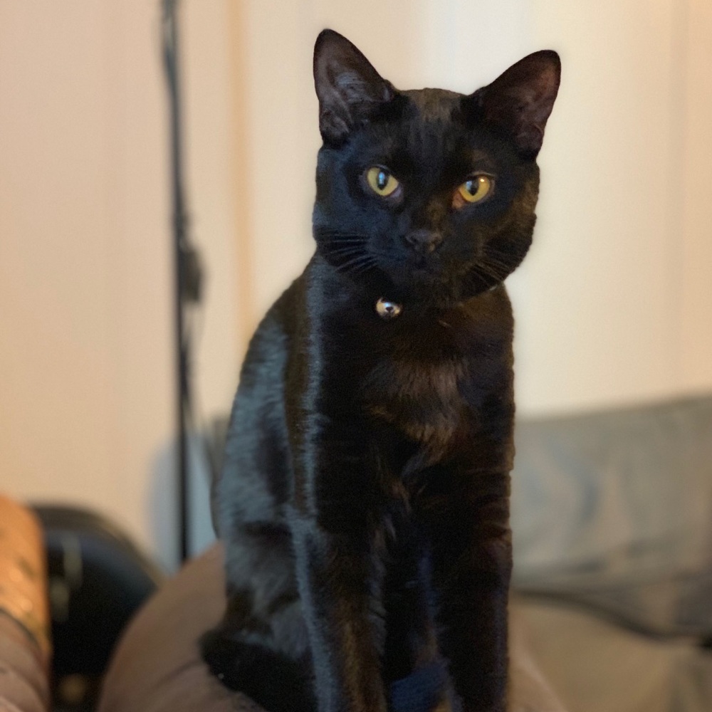 Meet your Posher, Kaitlyn